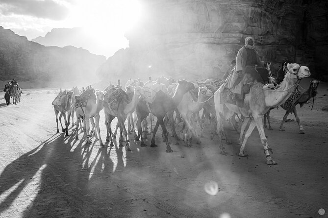 02 Days Petra , Wadi Rum and Dead Sea from Amman - Wadi Rum village stop and the jeep safari value