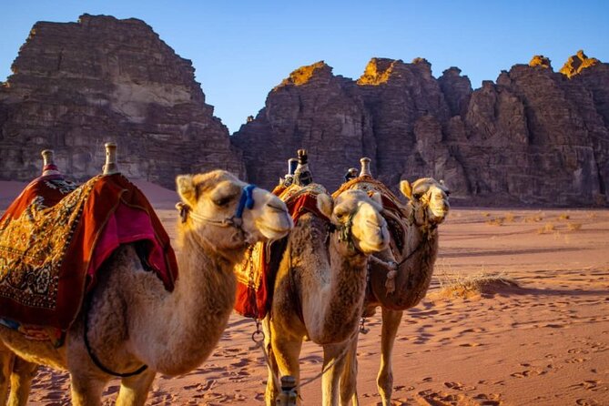 07 days and 06 nights Jordan Jewels - Wadi Rum, 4x4 jeeps, Bedouin tea, and a night under stars