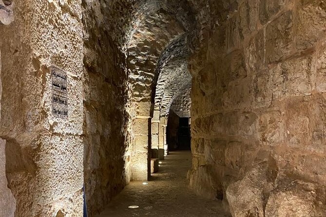 1 Day Tour to Amman Jerash and Ajloun castle - A Private Day North of Amman: The Big Three Sites in One Ride
