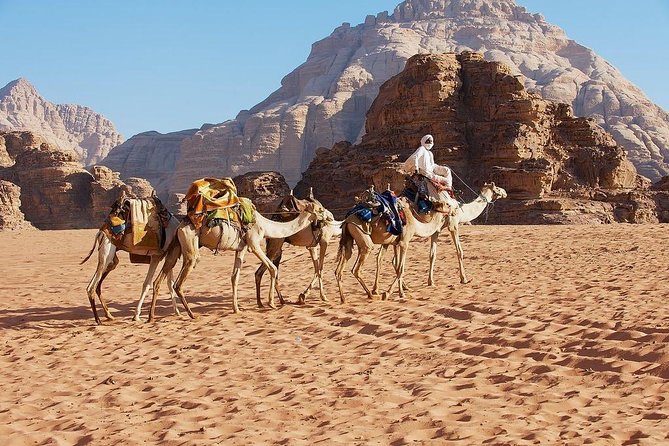 2 Day 1 Night Wadi Rum (Overnight) & Petra Shore Excursion - Overnight in Wadi Rum: why the night is the real upgrade