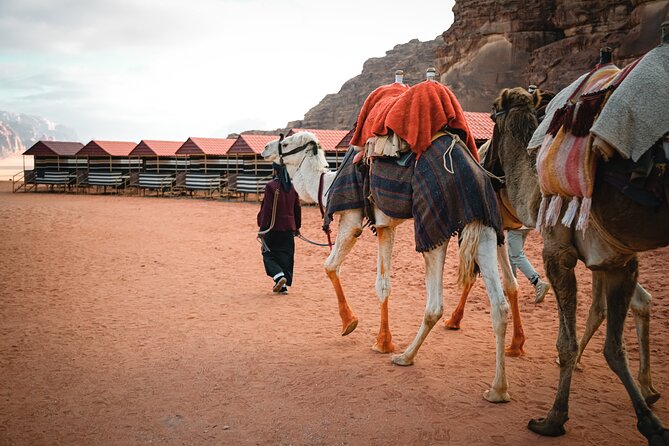 2-Day Jordan Guided Tour Petra, Wadi Rum and Dead Sea - Petra Time You Can Control, Then Off to Wadi Rum