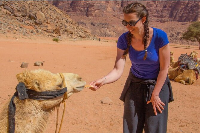 2 Day private tour from Amman to Petra_ Wadi Rum_ Aqaba Dead Sea - Price and value: what $399 really buys you
