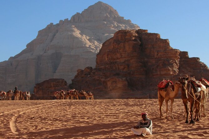 2-Day Private Tour in Jordan - Deluxe Tent - Petra free time: rock-cut city on your schedule