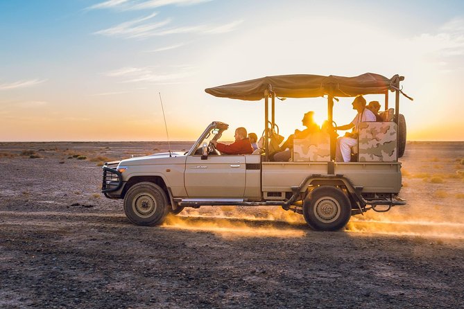 2-Day Private Tours in Jordan: Petra, Wadi Rum, and Dead Sea from Amman - Who this private Jordan itinerary suits best