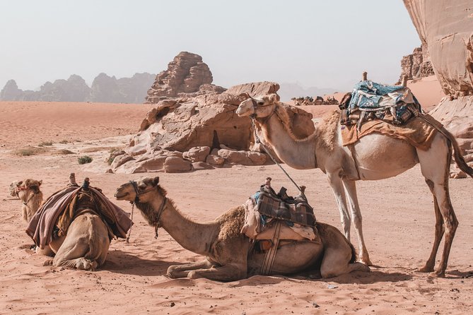 2 Days Tour | Petra, Wadi Rum & Dead Sea | Accommodation included - Dead Sea float and lunch, then the ride back to Amman