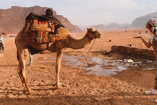 2 Hour Jeep Tour - Wadi Rum Desert & Canyon - Lawrence’s Spring and the Fig Tree, where the views do the talking