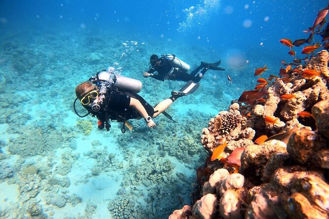 2-Hour Private Scuba Experience in Aqaba - Photos and videos afterward: instant memories, less fuss