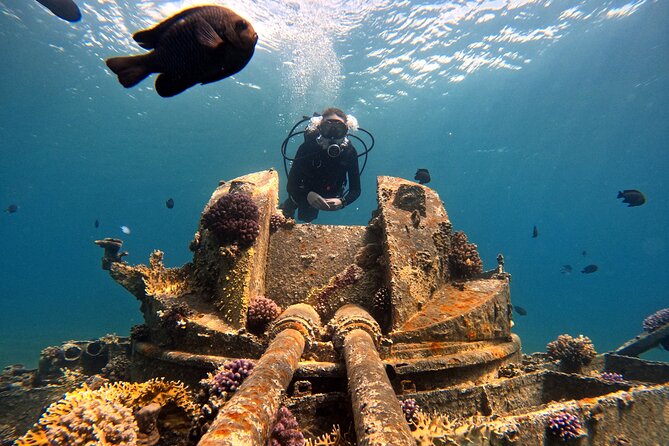 2-Hour Private Scuba Experience in Aqaba - Price and what you’re actually paying for at $45