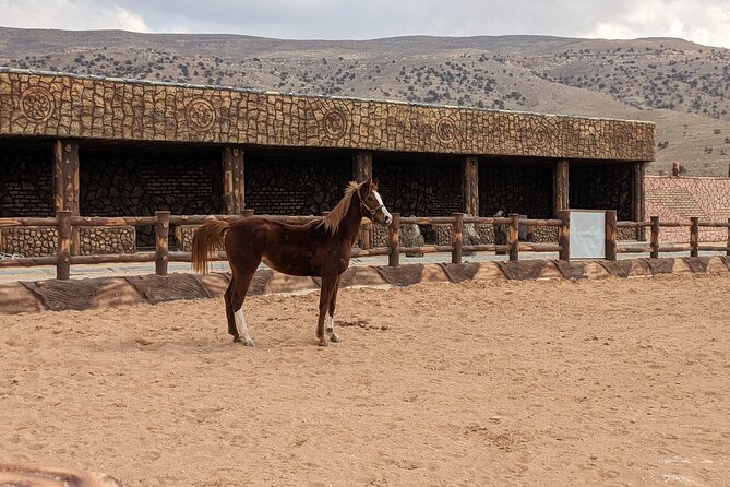 2 Hour Trail Ride to Little Petra-Morning or Sunset - Safety, Helmets, and Matching You to the Right Horse
