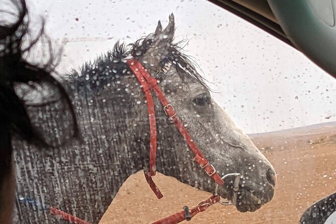2 Hour Trail Ride to Little Petra-Morning or Sunset - Crossing Toward the UNESCO Little Petra Site