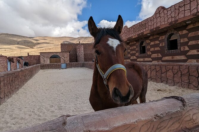 2 Hour Trail Ride to Little Petra-Morning or Sunset - Optional Stops: Neolithic Village and Little Petra Archaeology