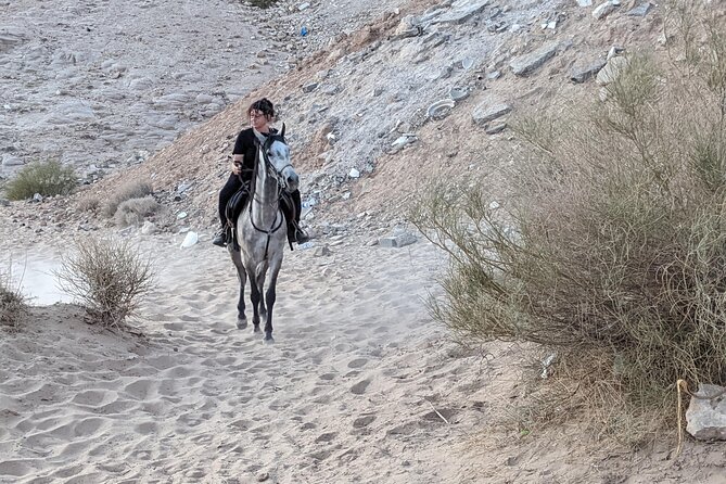 2 Hour Trail Ride to Little Petra-Morning or Sunset - Price and Value: Why $70 Can Make Sense Here