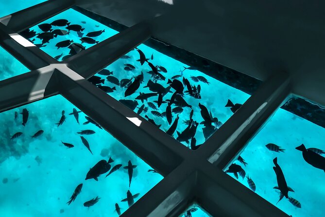 2 To 5 Hours Glass Bottom Boat Private Tour At Read Sea - Glass-Bottom Boat Views in Aqaba: The Simple Way to See Red Sea Life