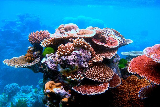 2 To 5 Hours Glass Bottom Boat Private Tour At Read Sea - What You’ll See Under the Water: Coral, Fish Schools, and Wreck Views