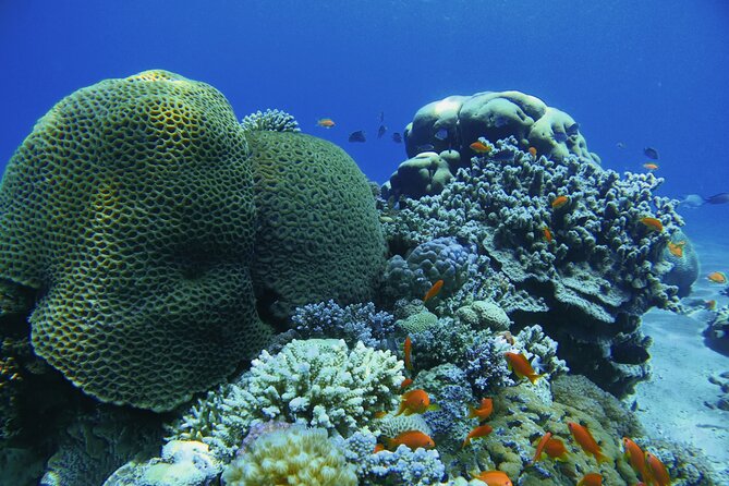 3-Day Open Water Scuba Diving Course in Aqaba - The 8:30 am start and how to think about the day flow