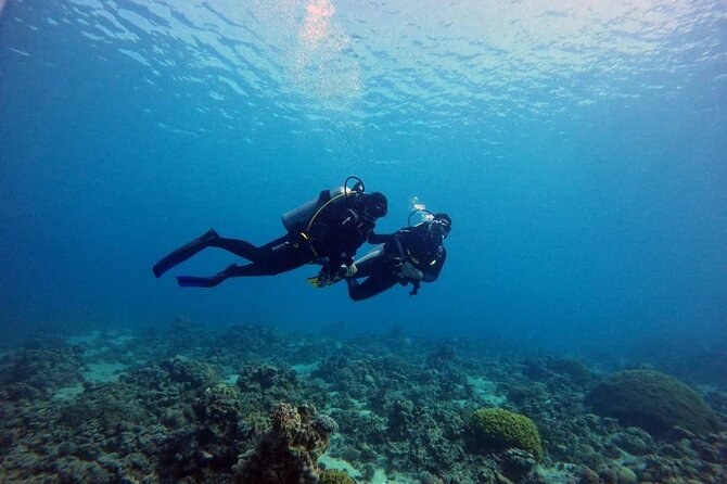 3-Day Open Water Scuba Diving Course in Aqaba - From online or manual theory to skills you can use right away