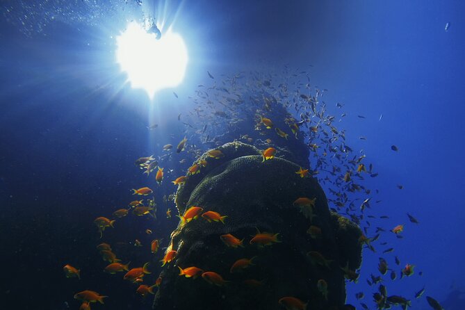 3-Day Open Water Scuba Diving Course in Aqaba - Waves Center logistics: small groups, gear, and pickup