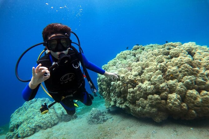 3-Day Open Water Scuba Diving Course in Aqaba - Price and what you actually get for $500 in Aqaba