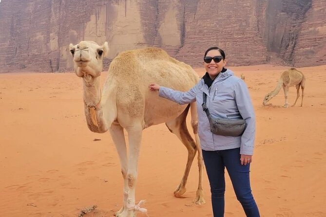 3-Day Tour from Amman: Jerash, Ajloun, Petra, Wadi Rum & Dead SEA - Timing, Walking, and What to Pack for Petra and Wadi Rum