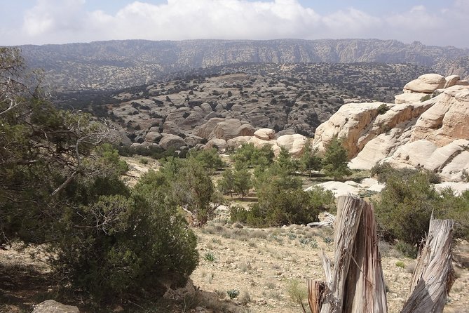 3 Days Jordan Fun & Activity Tour - Day 3 wrap-up: return to Amman after desert time
