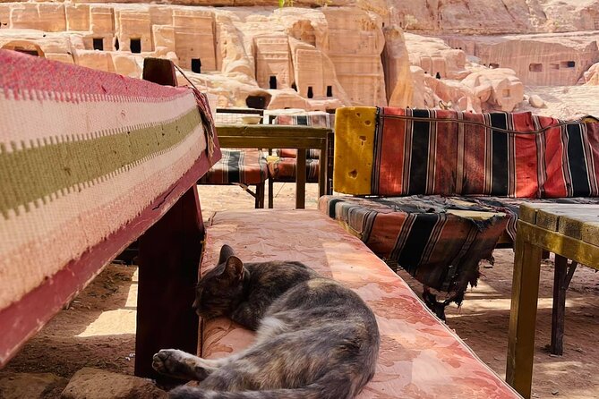 3 Epic Nights in South Jordan exploring with the locals. - Day 4: Return to Petra and a clean wrap-up