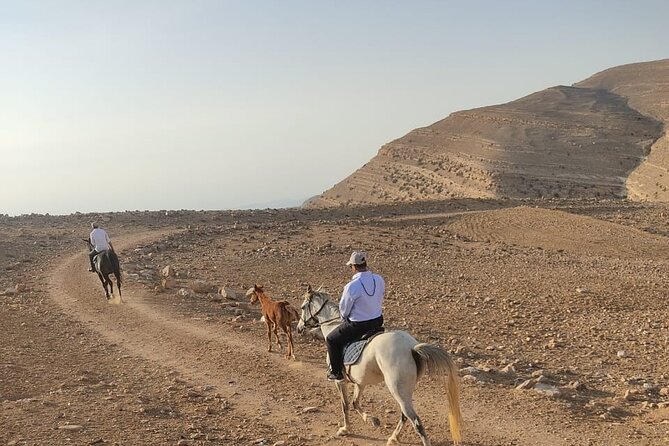 3 Hour Horse Riding Adventure around the Petra Area - Price and value: why $145 can make sense in Petra