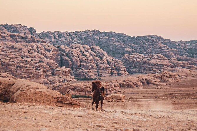 3 Hour Horse Riding Adventure around the Petra Area - Equipment, comfort, and what you should bring