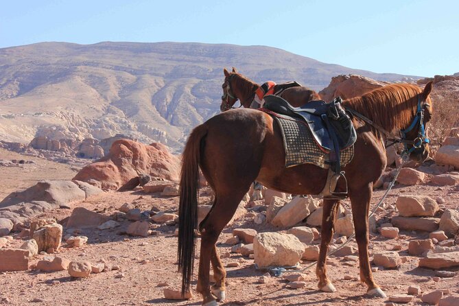 3 Hour Horse Riding Adventure around the Petra Area - Kharoubat Al Fajjah to Siq Ghrab: following old routes near Petra