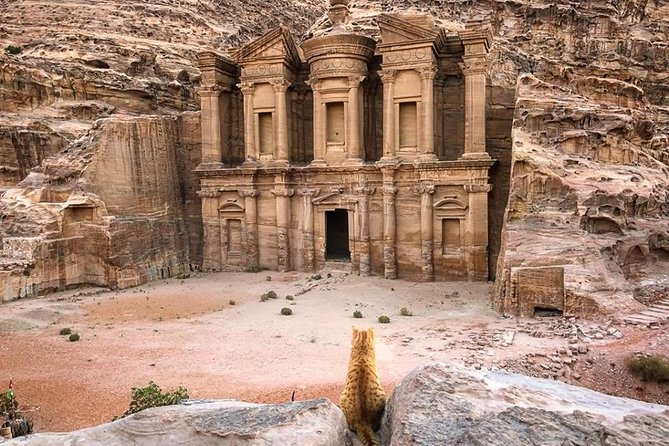 3Days Tour Petra & Wadi Rum from Amman, Dead Sea OR Amman Airport - Price Check: Is This Good Value or Just Convenient?