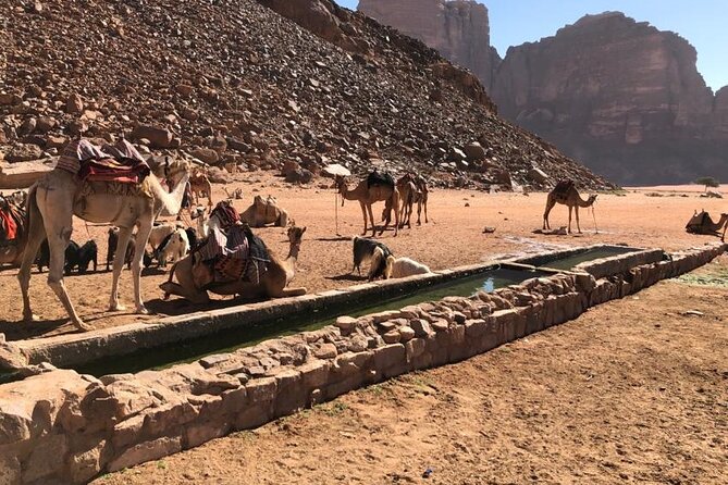 4 Hour Jeep Tour (morning or sunset) - Wadi Rum Desert Highlights - Little Bridge and Umm Fruth Rock Bridge: Photo Wins With Different Effort Levels