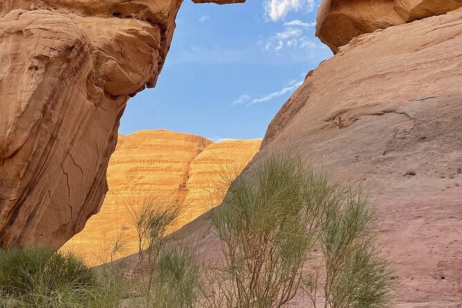 4 Hour Jeep Tour Wadi Rum Desert Highlights (morning or sunset) - Quick reality check: timing, price, and what you actually get