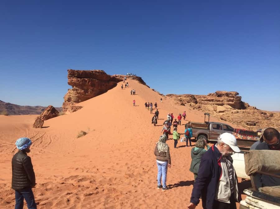 4Hour Jeep Tour (Morning or Sunset) Wadi Rum Desert Highligh - Lawrence Spring and the camel drinking moment