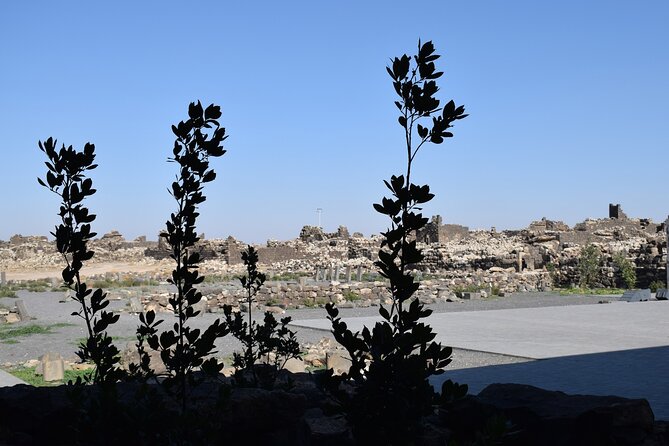 5-Desert Castles of Jordan Full-Day Private Tour from Amman - Stop 3: Qasr al-Azraq and the Oasis Advantage