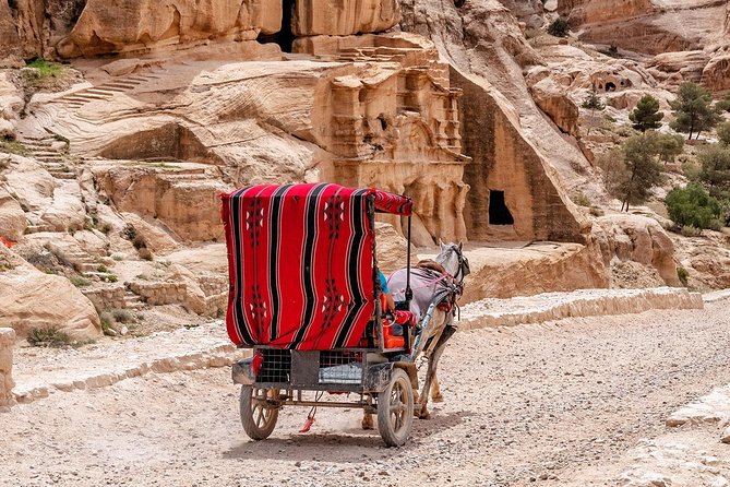 6-Days 5-Night: Jordan in Brief Tour - Who This Tour Fits Best