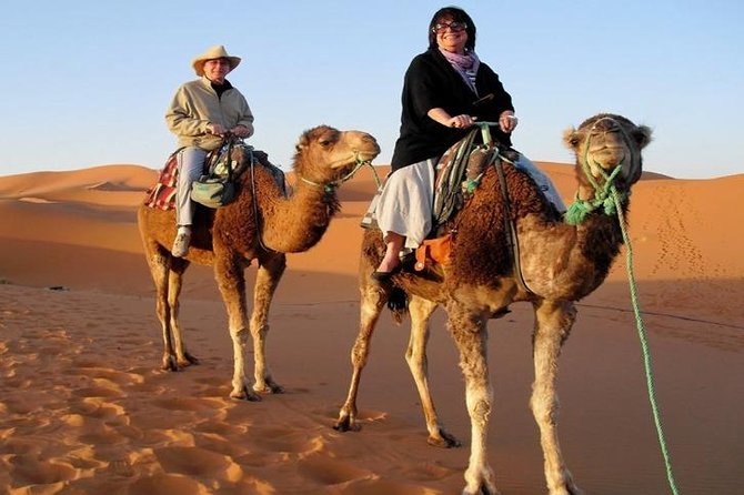 7-Day Private Tour, Explore Jordan's Glamour - Ajlun Castle and Jerash: Pine Forest Fort Views, Then Roman Street Energy