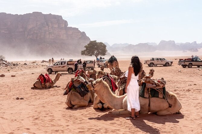 7-Day Super Luxury Tour By Toyota Land Cruiser - Day 6: Wadi Rum protected area, jeep ride, sunset, and a desert camp night
