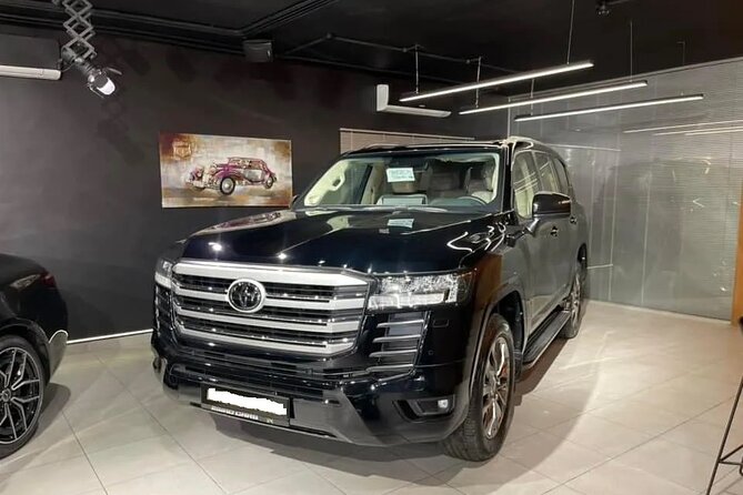 7 Days Jordan Luxury Private Tour by Toyota Land Cruiser 2024 - Ajloun Castle and Jerash: pine forests, crusader-era walls, and Roman scale