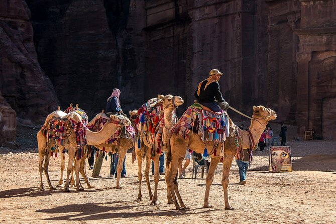 7 Days Jordan Sightseeing Tour - Key reasons this Jordan loop works