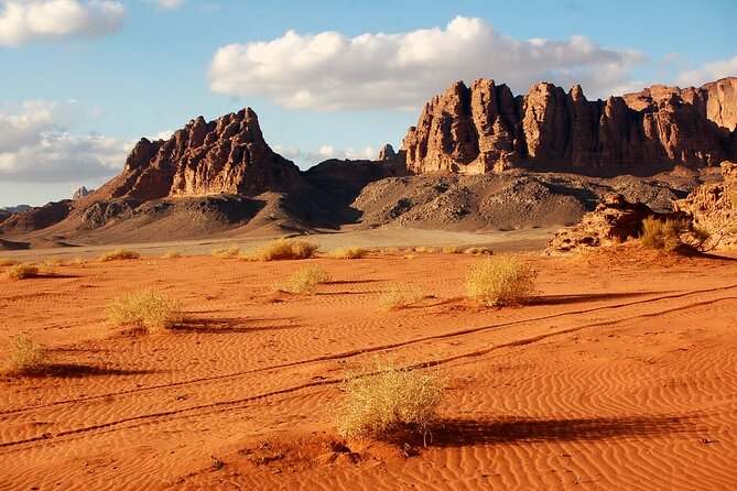 8-Day Classic Private Guided Tour Of Jordan - From Amman Airport to Your Hotel: Smooth Start, Less Stress