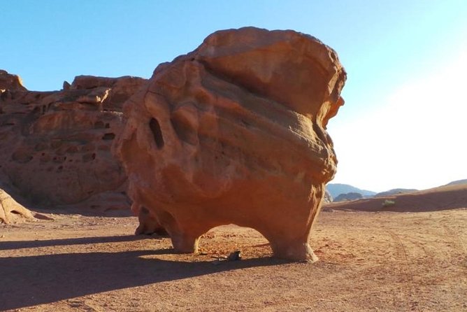 8-Day Private Tour, Jordan's Ability - Customizable - Day 4: Mount Nebo, Madaba mosaics, Kerak Castle, and the push to Petra