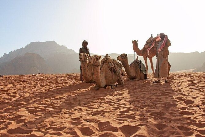 8 Days Jordan Tour: Petra, Wadi Rum, Aqaba - Wadi Rum protected area: jeep driving plus a Bedouin camp night
