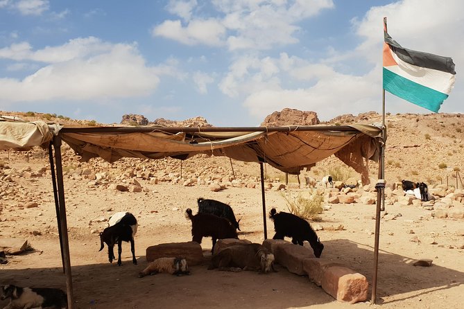 Amman and Aqaba airport lift to Petra and Wadi Rum - How the airport lift really works