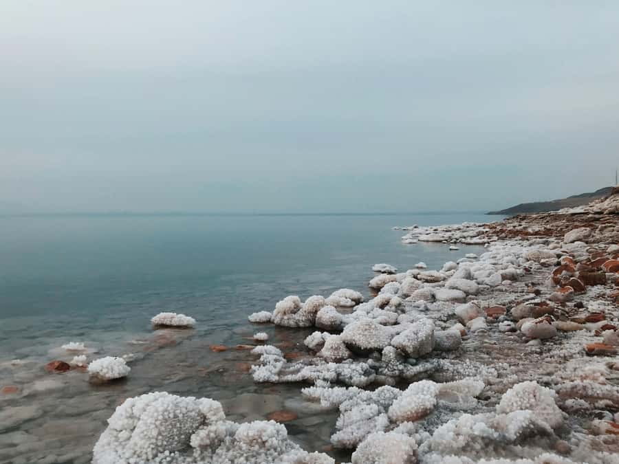 Amman: Ma'in Hot Springs and Dead Sea Day Trip - Value check: is $117 per person actually a good deal?