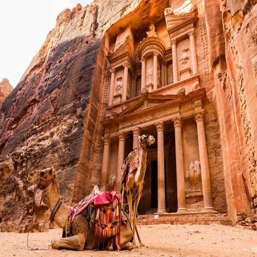 Amman Private Tour Petra Wadi Rum And Dead Sea 2day Bubble - How This 2-Day Route Works From Amman