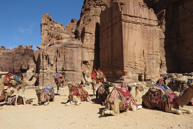 Amman to Petra round trip - Driver vs Local Guide: Choose How Much Explanation You Want