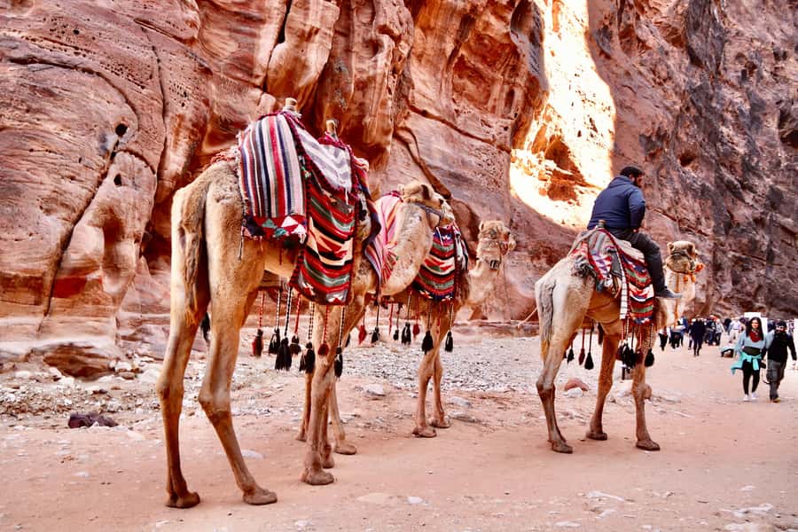 Amman to Petra Wadi Rum Dead Sea 2 or 3 Days Private Tour - The Dead Sea day use: mud, pools, beach time, and a low-effort reset