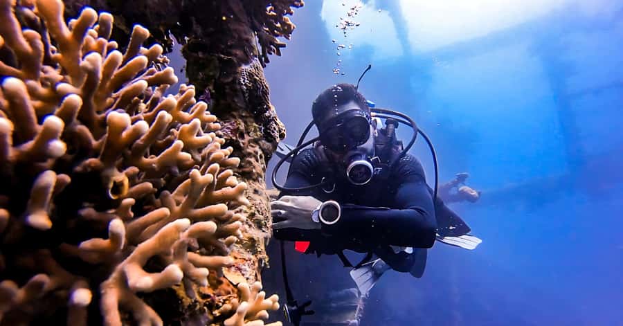 Aqaba Dive Adventure: Explore The Red Sea On A Tour - Key things that make this Aqaba tour worth your time