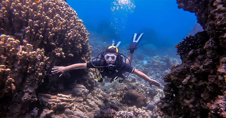 Aqaba Dive Adventure: Explore The Red Sea On A Tour - The 20-minute safety briefing that sets your confidence level