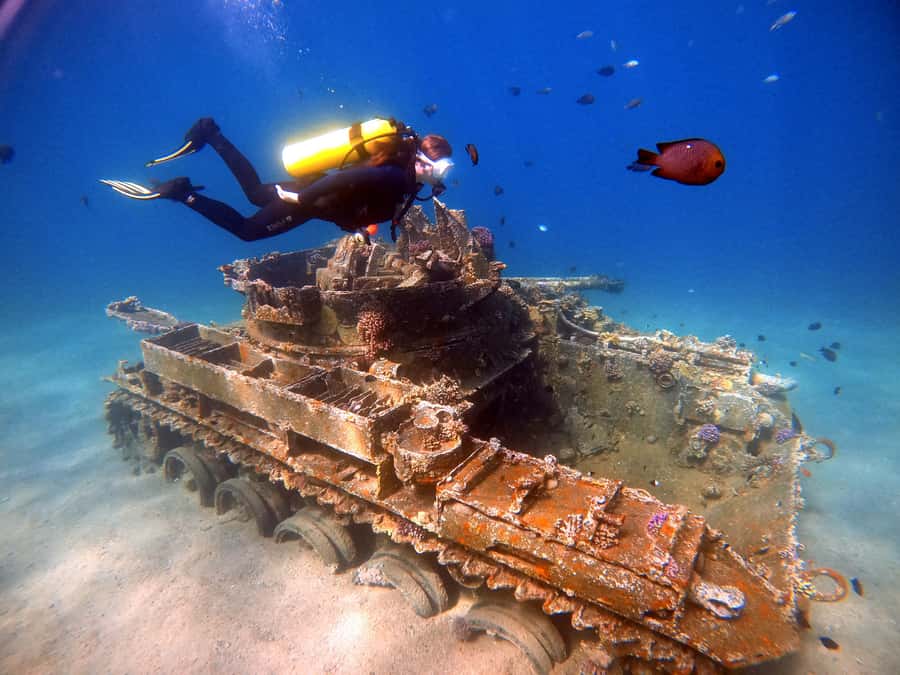 Aqaba: Private Red Sea Diving for Beginner or Experienced - Key Highlights I’d Prioritize