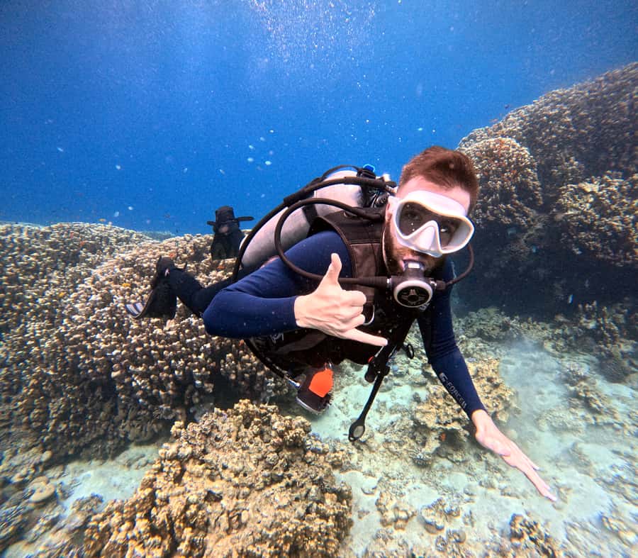 Aqaba: Private Red Sea Diving for Beginner or Experienced - Equipment and Comfort: Wetsuit, Gear Rental, and Fast Familiarity
